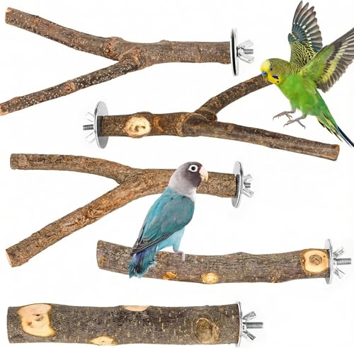 CZWESTC 5PCS Natural Wood Bird Perch Set - Straight & Forked Branch Perches Cage Perches Accessories for Small Medium Birds, Parakeets, Budgies, Cockatiels, Conures