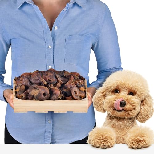 Schweinenasen Naturprodukt für Hunde 500g (ca. 15-20 Stück) | Getrocknete Schweinenasen Kausnack | Gesunde Hundesnacks zur Zahnpflege | Proteinquelle | Ideal für Diät und Langzeitbeschäftigung