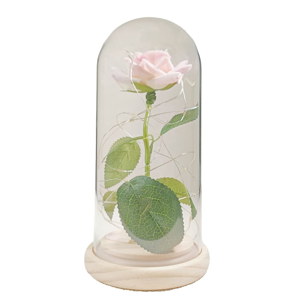 uniqicon Anniversary & Valentine's Day Gifts for Mom Women, Rose Lamp, Mother's Day, Birthday Presents,Girlfriends & Wives Handmade Roses Flowers Galaxy Eternal Enchanted Rose Glass Dome 1F โ image 1