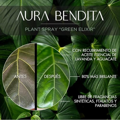 Mejores precios y opiniones de Donde comprar plantas disponible en línea. 22 Imagen adicional