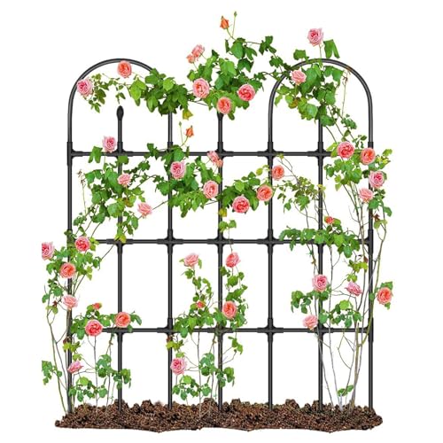Treillis de jardin vertical en métal pour tomates et fleurs de balcon