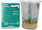 Josh's Frogs Hornworms Habitat Cup (12 Count Cup)
