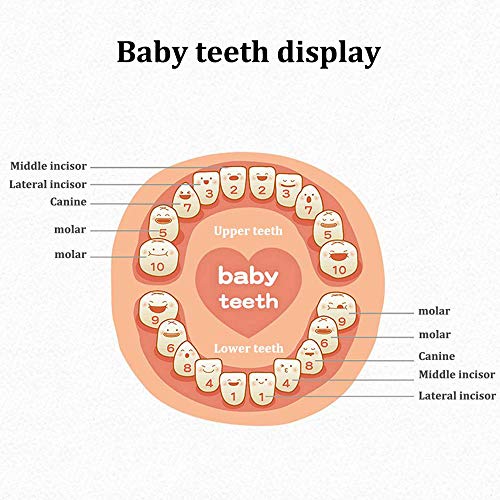 Keyohome Wooden Tooth Fairy Box with Photo Frame, Save Organizer for Baby Teeth Keepsake Storage with Tweezers & Screwdriver - Image 4