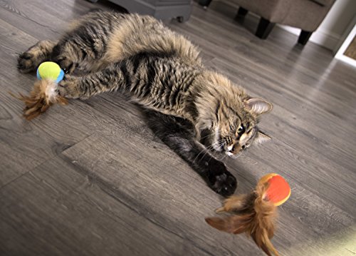 Smartykat 39341 2 Count) Flutter Balls Feather Cat Toys thumb #7
