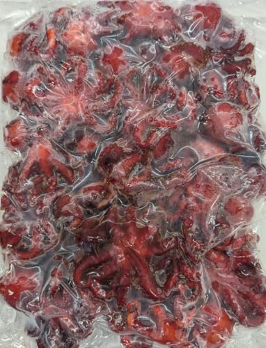 復活 いいだこ タコ玉子 M 1Kg(約30個)×12P 冷凍 業務用 お節