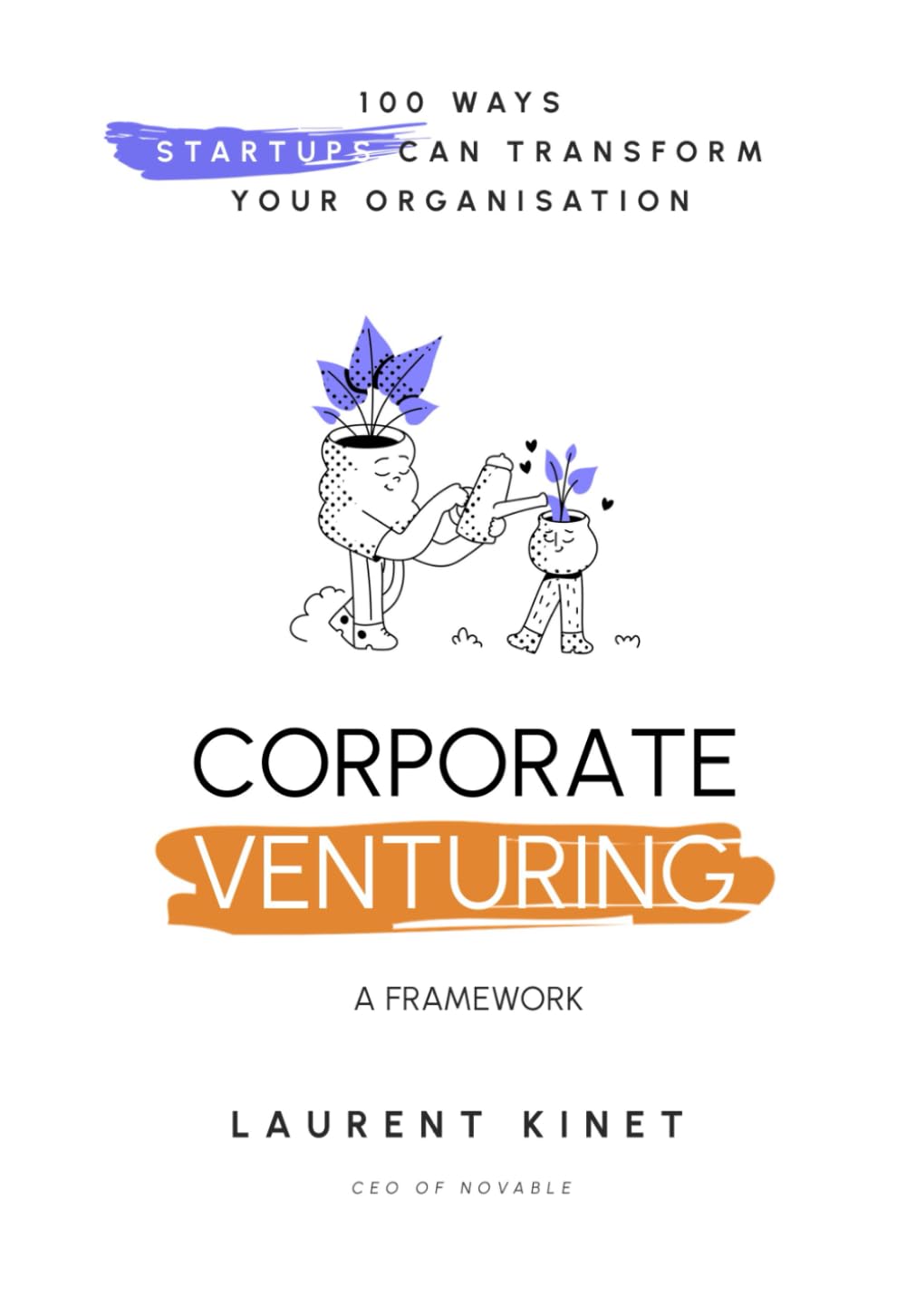 Corporate Venturing - A Framework: 100 Ways Startups Can Transform Your Organisation