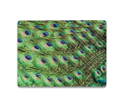 Image of MightySkins Carbon Fiber Skin Compatible with Microsoft Surface Laptop Go 3 (2023) Full Wrap Kit - Peacock Pattern | Protective, Durable Textured Carbon Fiber Finish | Easy to Apply | Made in The USA