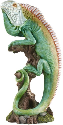 Progettare Scultura Toscano QL2173 Tropical Iguana...