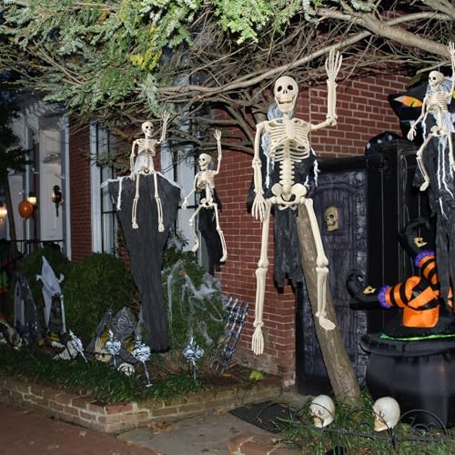 51S1250w5jL._AC_ VioraWhite 11 Stück Halloween-Skelett-Dekorationen, realistische Ganzkörper-bewegliche Gelenke, Halloween-Kunststoff-Skelett für Friedhof, Hof, Innen- und Außenbereich, Party-Dekoration