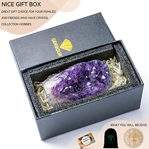 Gemboury Natural Deep Purple Amethyst Crystal Geode From Uruguay 0.5-0.7 Lb, A Grade Amethyst Cluster Include Bonus Grid Plate, Premium Gift Box For Collectors Reiki Healing Positive Energy #TOP6