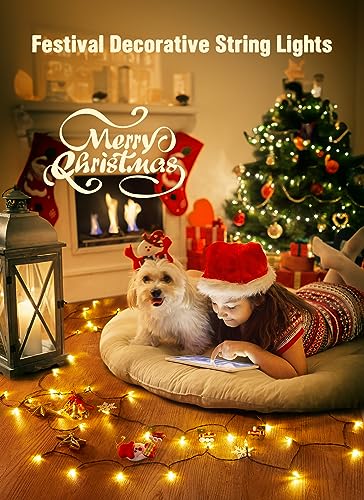 Image of Brightown Battery Operated Christmas String Lights with Timer 4 Pack | 8ft 20LED Warm White Mini Christmas Tree Lights for Indoor Outdoor Bedroom Wedding Party Holiday Xmas Decoration