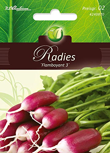 Radies, Flamboyant 3