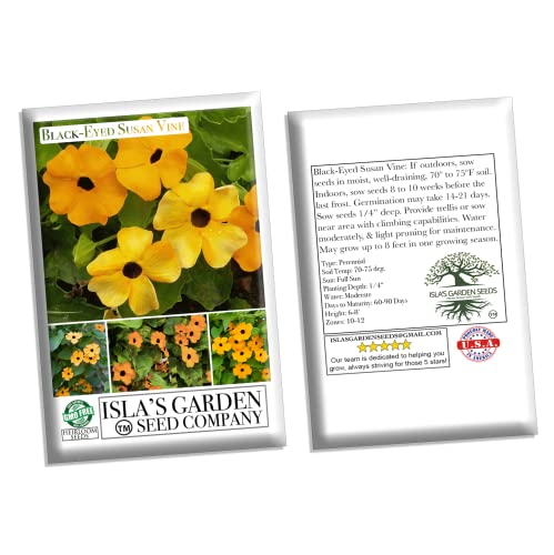 Black Eyed Susan "Vine" Flower Seeds For Planting, 25+ Heirloom Seeds Per Packet, (Isla's Garden Seeds), Non Gmo Seeds, Botanical Name: Thunbergia Alata, Great Home Flower Garden Gift #TOP6