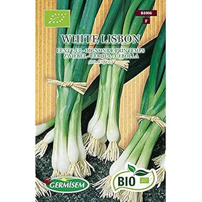 WEYE-Germisem Genovese Graines de Basilic 4 g EC1101 Multicolore[2291