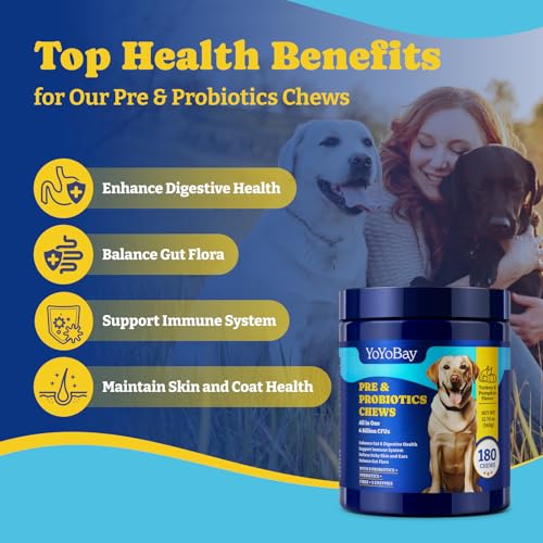 Image of Probiotics for Dogs - 6 Billion CFUs, Dog Probiotics with Prebiotics & Digestive Enzymes for Gut, Immune & Skin Health - Turkey & Pumpkin Flavor, 180 Soft Chews