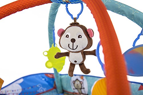 Tapete Ginásio Discovery Cosco - Circus