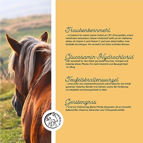 Annimally Senior Vital Pulver Pferd mit MSM, Traubenkern, Glucosamin, Teufelskralle - Senior Zusatzfutter zur Unterstützung von Herz & Kreislauf sowie Knochen und Gelenke im Alter