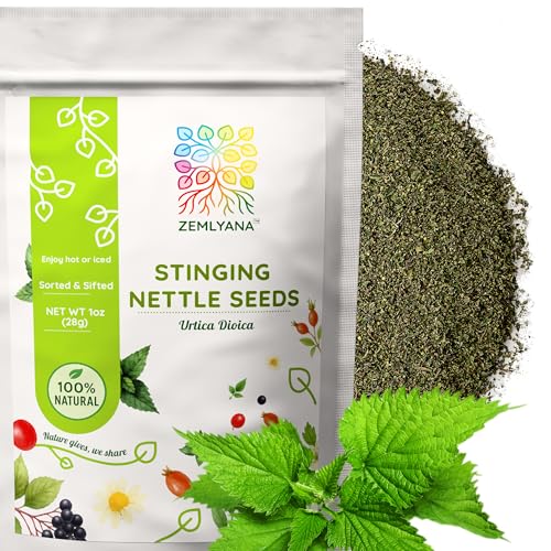 Dried Stinging Nettle Seeds for Tea - Urtica Dioica Herbal Tea - Whole Nettles Seed Bulk 1 oz