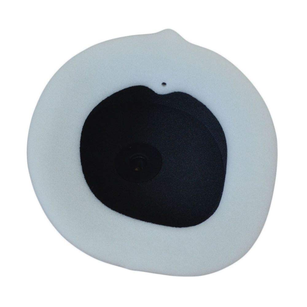 Athena S410510200019 Filtro Aria