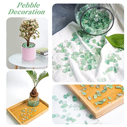Image of QICQDRAM Natural Green Flourite Crystals Bulk 0.9 Lb /405g Small Tumbled Chips Crystal Stone Decorative Pebbles for Home Decoration & Fish Turtle Tank, Vase Filler, Plants Decor