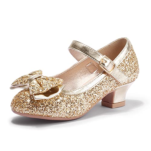 Image of PANDNAINJIA Girls Dress Shoes Toddler Heels Mary Jane Pumps