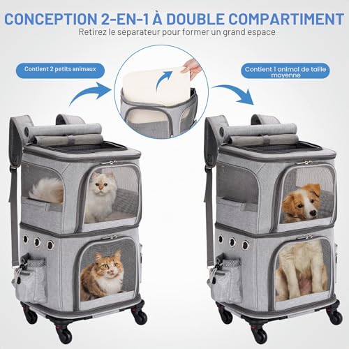 Sac de transport pour 2 chats compartiments séparables pliable gris XL
