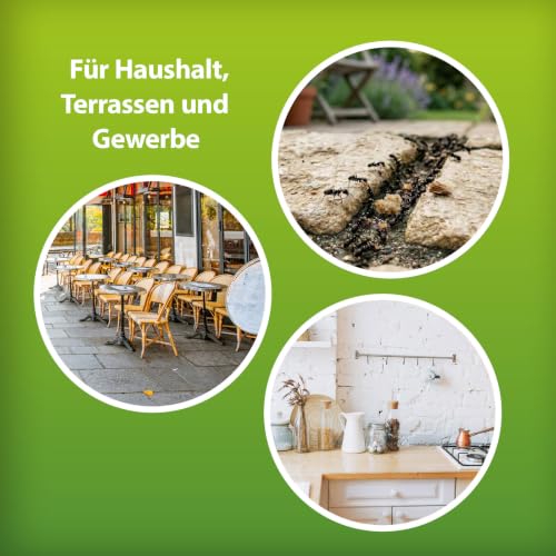 ARDAP Repell Ameisenspray 400ml - Ameisenspray außen & gegen Ameisen im Haus - Mittel gegen Ameisen - Ameisenmittel - Ameisen Spray bei… – Ansicht 5