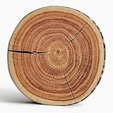 HYSEAS Decorative Round Throw Pillow, 3D Digital Print Comfortable Kids Funny Cute Wood Log Pillow Circle Seating Floor Cushion for Home, Couch, Sofa, Bedroom, Living Room, Stump, 16 x 2.75 Inch
