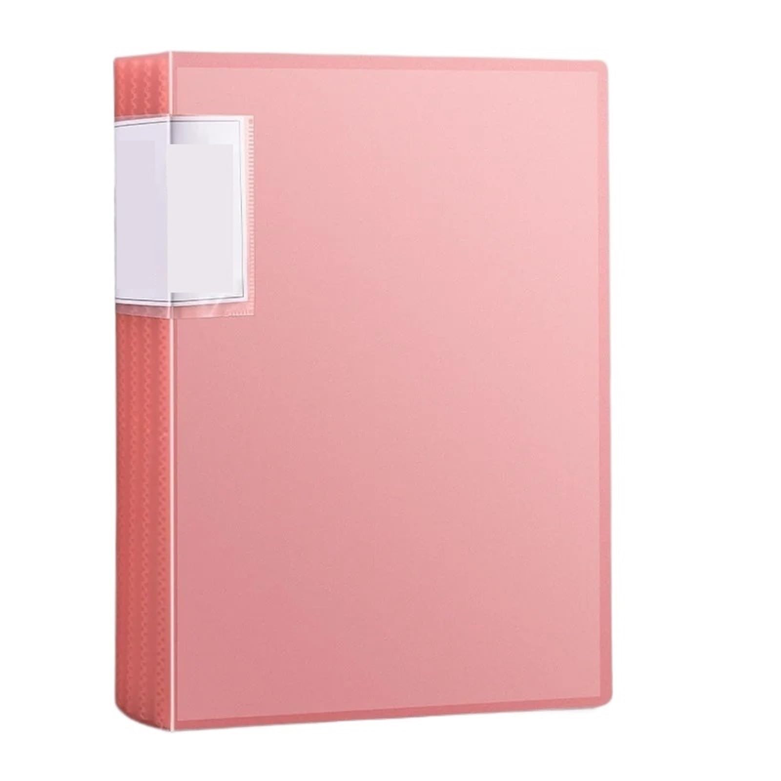 2 Stück A4-Kunststoff-Budgetordner, Dateiordner, Dokumente, Broschüre, 100 Seiten, Bürobedarf, Schreibtisch-Organizer Für Mappe Portfolio