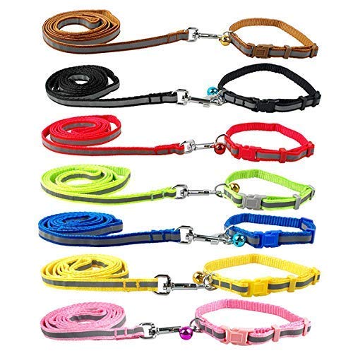 D&C Paws Puppy Collar with Leash 2 PCS Set with 1 Small Name TAG Free (B08RQRPZQJ) Amazon Price History, Amazon Price Tracker