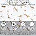 UNICRAFTALE 30Pcs 6 Styles Real 18K Gold Plated Spike & Cone Charms, Stainless Steel Punk Style Jewelry Making Accessories, Hole 1.5-3.2mm