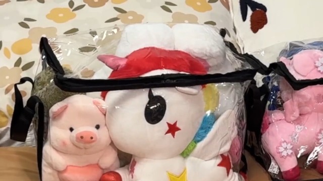Amazon.co.jp: ぬいぐるみ収納袋 透明おもちゃ収納 持ち手付き 収納