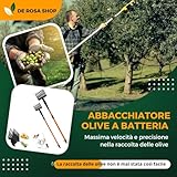 Generico B0FPMT7JKK lato 4