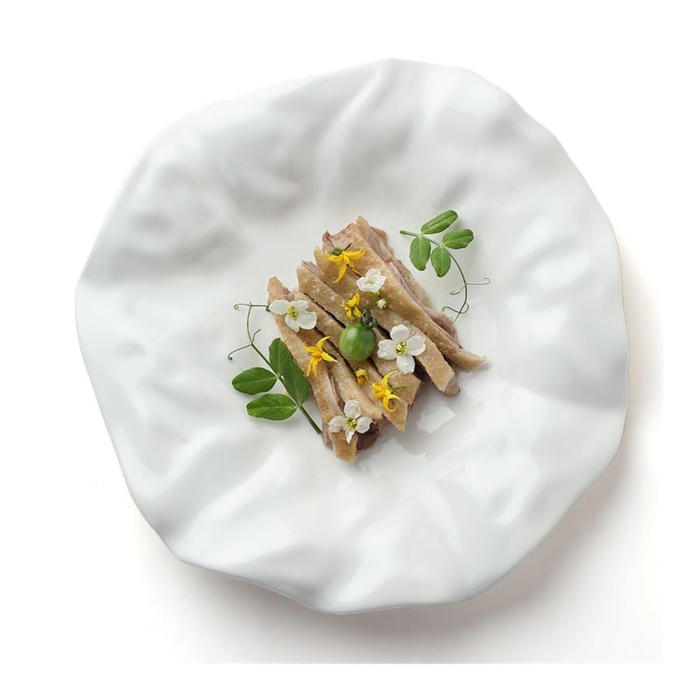 Platos llanos de cerámica con diseño irregular para restaurantes, color blanco, perfecto para presentar comidas