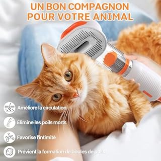 Trywise Katzenpflege-Staubsauger-Set mit Bürste, geräuscharmes Tierhaar-Trimmen und -Fellpflege für Hauskatzen, 4-in-1-Staubsauger-Fellpflegegerät für lang- oder kurzhaarige Kätzchen