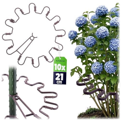 KADAX Staudenhalter Rund Ø 21 cm im 10er Set Pflanzenhalter aus Kunststoff Pflanzenstütze Staudenstütze für Hortensien & Pfingstrosen Hortensienhalter Pflanzring (Braun)