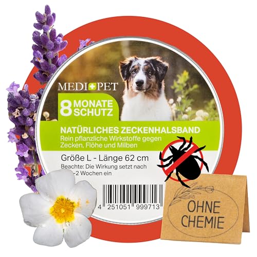 MEDIDOG Natürliches Zeckenhalsband – 8 Monate Schutz vor Zecken, Flöhe und Milben, für kleine Hunde & Katzen – mit Zistrose- & Lavendelöl – ohne Chemie
