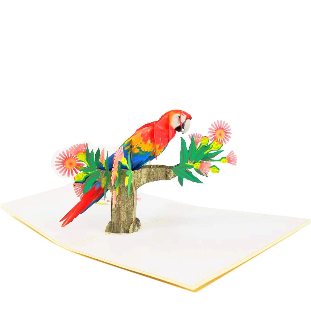 Colorful Parrot Pop Up Birthday Card - Happy Birthday Pop Up Card for son, daughter, wife, friends, Nature, Wild Animal, Bird lovers