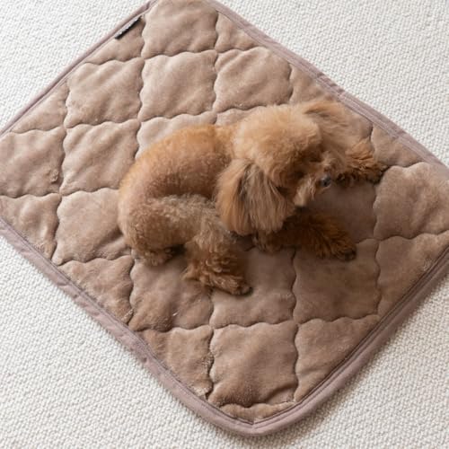 uy܂Ƃߔpz~ߕtybgV[g gӂӂtl}bg H~p ybg}bg ې􂢉 ybgxbh  L p (LTCY 60×45cm 3g) (uE, L)