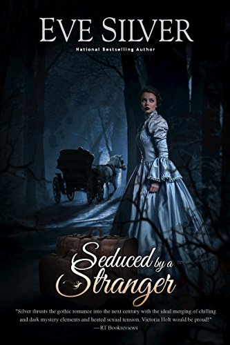 Seduced by a Stranger: Historical mystery romance