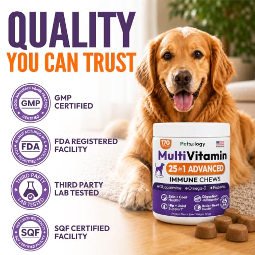 Image of (2 Pack) Dog Multivitamin Chewable, 340 Chews, Dog Vitamins and Supplements