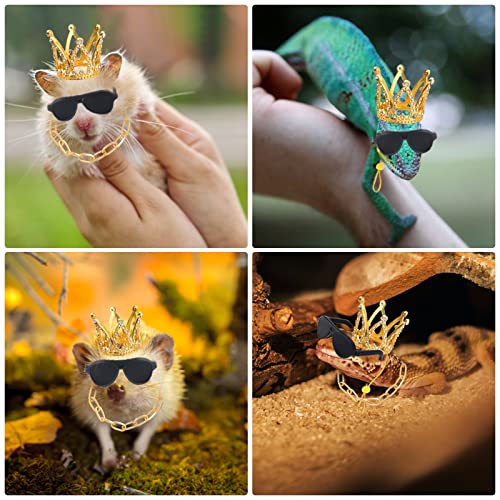 Keymall Conjunto de acessórios de dragão barbudo, incluindo colar de coroa, óculos de sol com alça e