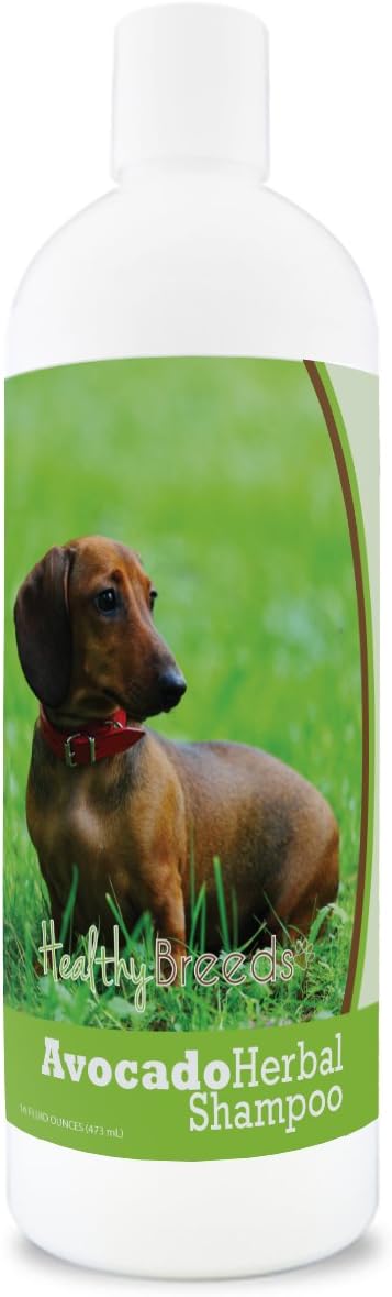 dachshund shampoo