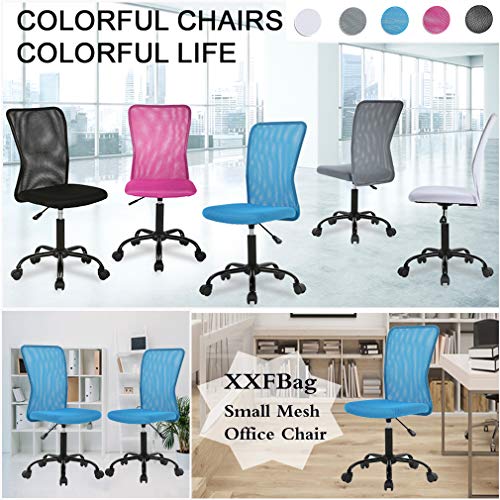 Armless Cheap Ergonomic Office Chair With Mid Back,Mesh Swiveling Task Chair With Wheels, Modern Executive Desk Chair Adjustble Computer Pc Desk Chair For Home Office Women Men By Xxfbag - Blue #TOP4