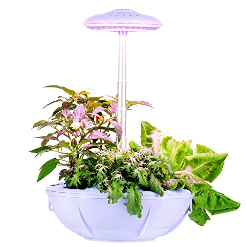 Potager hydroponique réglable en hauteur pour faire pousser vos plantes sans lumière naturelle