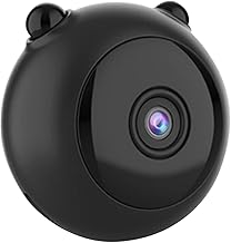 Gatuida Interior 1 Conjunto De Mini Cachorrinho Mini Cúpula Ip Interna Sem Fio Monitor De Visão Noturna Escondida Segurança Interna Vcr De Plástico Fosco 1080P Mini Câmera