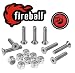 Fireball Dragon Stainless Steel Skateboard Hardware Set (Flat Allen, 1.0")