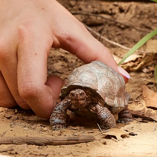 SCHLEICH WILD Life | Riesenschildkröte 14824 | detailgetreue Tierfiguren | Zoo Spielzeug | tolles Geschenk für Jungen und Mädchen | Deko für Geburtstag | Spielfigur ab 3 Jahren | 8 x 4 x 4 cm