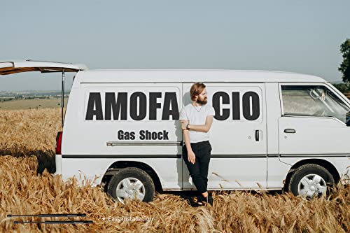 Amofacio 55394245Aa 2Pcs Window Glass Gas Lift Supports Strut Shocks Prop Spring Rod Rear Left Driver And Right Passenger Side Replacement Compatible With 2005-2010 Grand Cherokee #TOP6