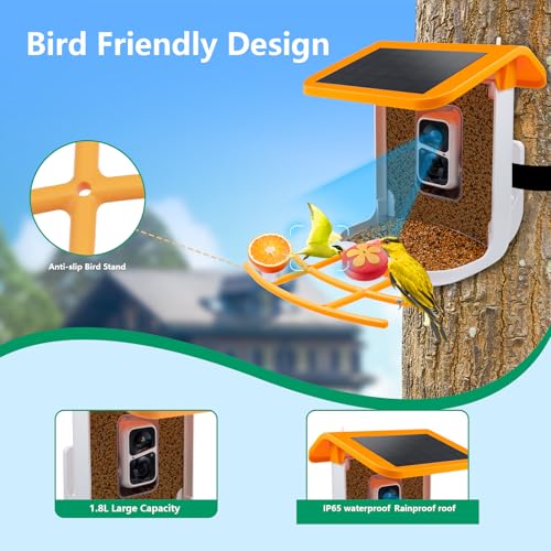 Bird Feeder with Camera Solar Powered, 2K Live Video, for Outdoor Backyard - Ai Identify Auto Capture Videos, Unique Outdoor Gifts for Mom Dad Birdlover